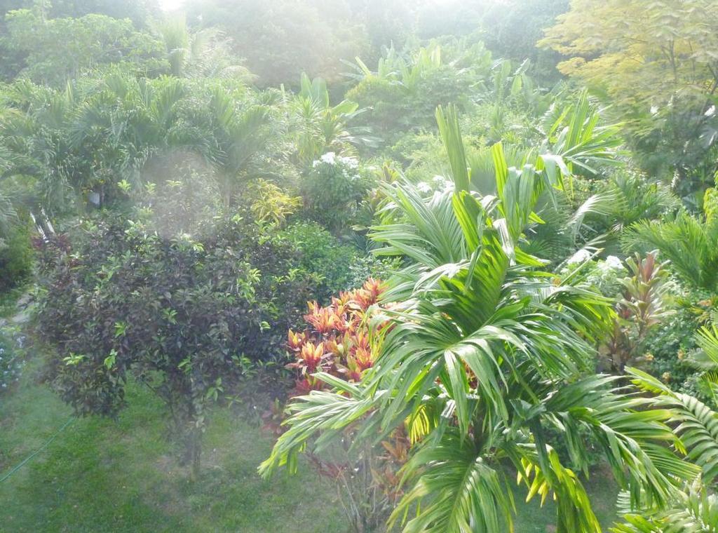 La Batie Selfcatering Apartment Beau Vallon  Luaran gambar